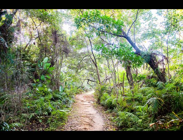1,462M² VACANT LAND FOR SALE IN SIMBITHI ECO ESTATE